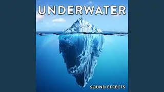 Underwater Ocean Ambience with Various Mammal Calls
