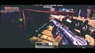 Hachi V2