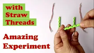 Jellyfish in Water | Amazing Experiment at Home | Water Experiment | Paper Craft 