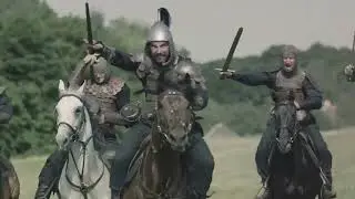 The evolution of horses over the recent ages. How they had their place in battles to the present day