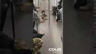 Дикий запад в поезде [Coub]