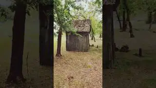 ХУТОР моего детства⛺. Скоро выйдет ролик с этими ХУТОРАМИ   #деласемейные #хутор #хуторок