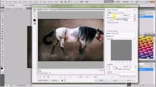 Saving an Image for the Web in Photoshop