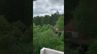 СПАСЕМ БЕДНУЮ СОБАКУ.ВЕДЬМИНА ИЗБА.ИНГА ХОСРОЕВА