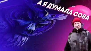 Еще один быстрый коврик за вкусный прайс | Waizowl Fukurou