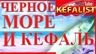 Кефаль и море ! (как клюет кефаль под водой, как кефаль берет наживку, кормежка кефали)