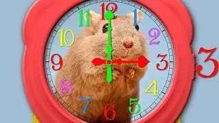 Hickory Dickory Dock CLOCK Countdown ( v 699 ) Kids Song TIMER 4K