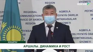 АРШАЛЫ. ДИНАМИКА И РОСТ