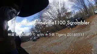 Triumph BonnevilleT100 Scrambler 林道 蕎麦粒線 下り with トラ浜 Tigers 20181111