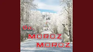 Proscanie s novogodney jolkoy