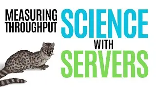 Science with Servers - Benchmarking http4k and ktor