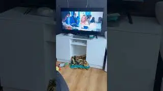Так и живем 😅 