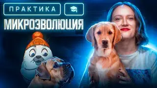 Микроэволюция | ЕГЭ-2025 по биологии