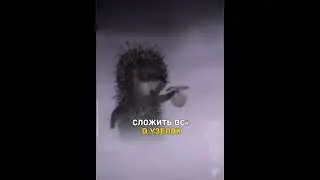 Когда всем что-то от тебя надо :(