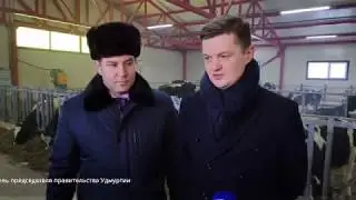 Я сама: коровы в Граховском районе решают, когда идти на дойку