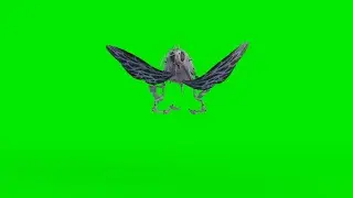 Green Screen Flying Bee Animation  | Free Download
