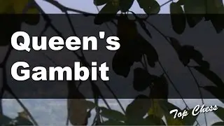 Chess Games - Queen's Gambit Declined Slav, 4.e3 Bf5
