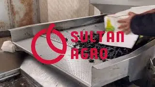 SULTAN AGRO IMPEKS - поставка сухофруктов, бобовых культур и орехов