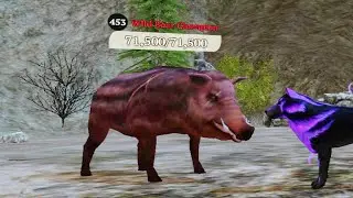 The Wolf - Wild Boar Champion In Featured Green Hills 🏆