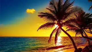 Beautiful Relaxing Peaceful Music, Calm Music 24/7, 