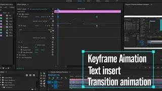 Adobe Premiere pro keyframe animation | Insert Text | Transition Effects | Adobe premiere