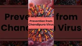 Chandipura Virus, जानिए कैसे बचें?| Prevention From Chandipura Virus #chandipuravirus #chandipura