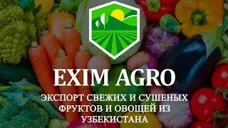 Exim Agro - экспорт свежих и сушеных фруктов и овощей