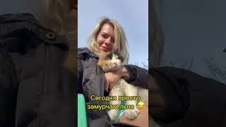 Просто муррр