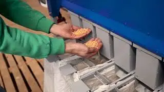 Идеальное разделение гороха и семечки сепаратором АСМ