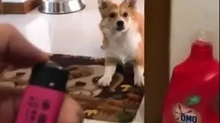 ОН ВОЛШЕБНИК!!! [Coub]