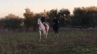 Circolo Ippico Masseria Mofetta - in passeggiata