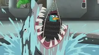 Shark & worm noms mini-compilation (PAF)