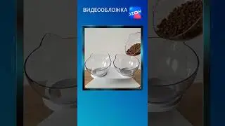 Видео для маркетплейса для 