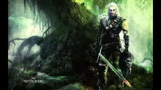 The Witcher|#6| Погодка и разборки прям поют в полях