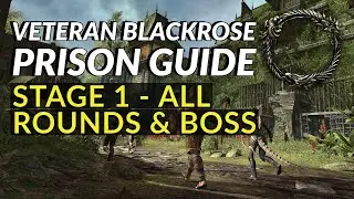 Elder Scrolls Online | Blackrose Prison Guide Stage 1 all rounds & boss | Derelict Prison