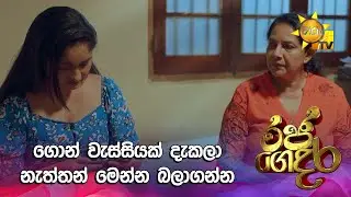 ගොන් වැස්සියක් දැකලා නැත්තන් මෙන්න බලාගන්න | Andare - අන්දරේ