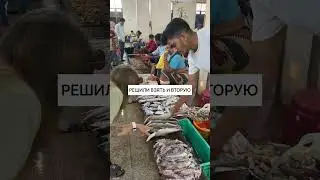 ПОКУПАЮ АКУЛУ. ВКУС И СТОИМОСТЬ 