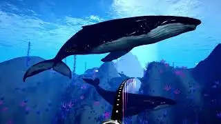 Новые VR ролики для наших аттракционов! Вышел второй пакет!