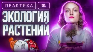 Экология растений | ЕГЭ-2025 по биологии