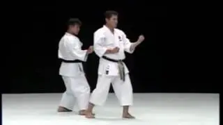 Рюэй рю Бункай ката Сансеру