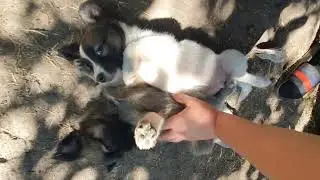 Поможем крохе добраться до мамы🙏