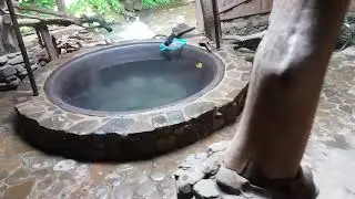 Лумшоры
