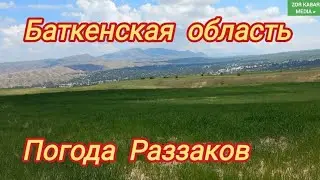 Баткенская область Погода Раззаков