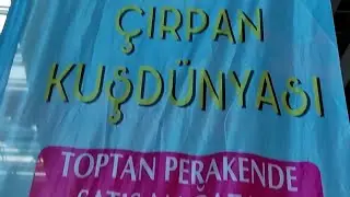 Çırpan Kuş Dünyası 