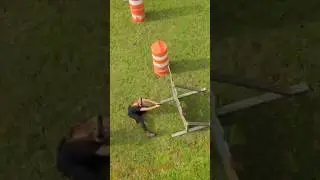 Using barricades