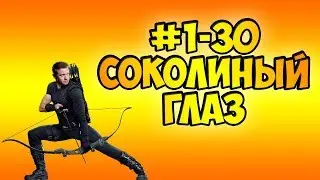 1-30 СОКОЛИНЫЙ ГЛАЗ (30 КРИСТАЛЛОВ)