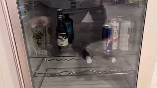 Antarctic Star 36 Bottle Wine Cooler Cabinet BeverageRefrigerator Review