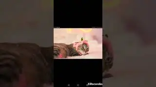 с 3 попытки😩я это делала 10 лет