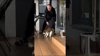 КОШКА Новый ПИТОМЕЦ в Доме!