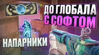 🧞 ЧИТЕРЫ НА ГЛОБАЛАХ?! // ДО ГЛОБАЛА С СОФТОМ НАПАРНИКИ В CS2! [MIDNIGНT]